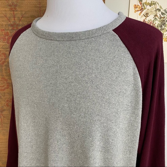 J. Peterman Suede Elbow Patch Rugby Raglan Sweatshirt - Picture 7 of 14